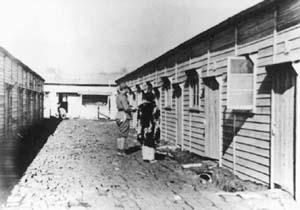 慰安妇曝日军兽行?<wbr>那段不堪回首的岁月?<wbr>《南京大屠杀》