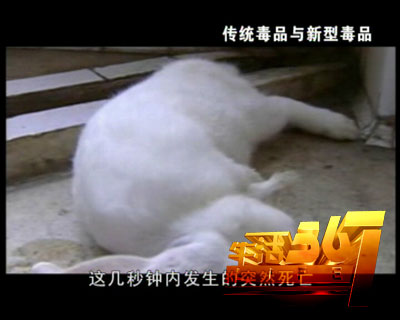 让青少年远离毒品_CCTV.com_中国中央电视台
