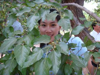 每日农经栏目出镜记者黄莉